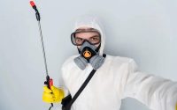 Effective Pest Control for Sydney's Commercial Properties