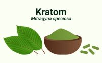 Visit Our Website for Kratom Tea Tips