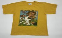 The Flaming Lips Official Merchandise: Elevating Your Fan Status